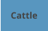 Cattle
